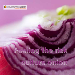 Peeling the risk culture onion